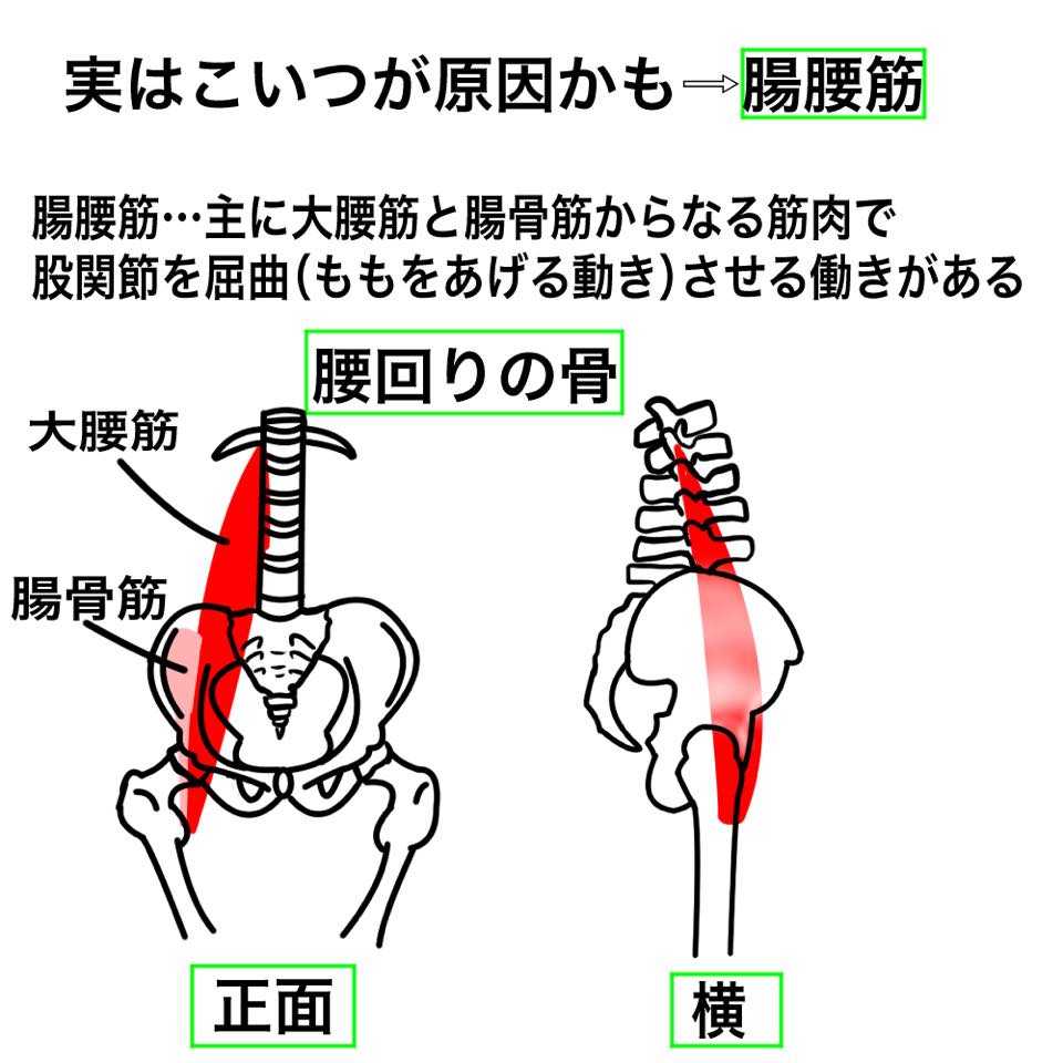 腹筋で腰が痛い方向けイラスト解説 Key Fit